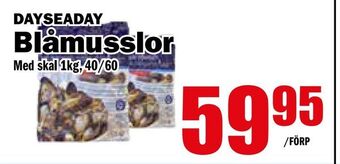 Blåmusslor