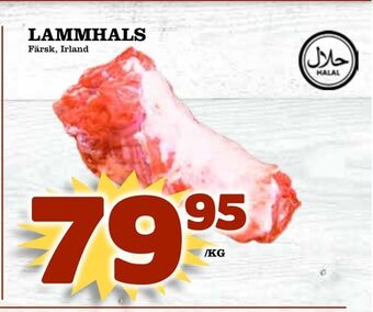 Matvärlden Tensta Lammhals erbjuda