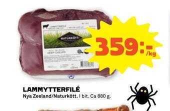 Lammytterfilé