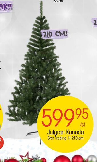 EKO Julgran kanada erbjuda