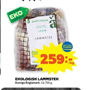 Coop Forum Ekologisk lammstek erbjuda