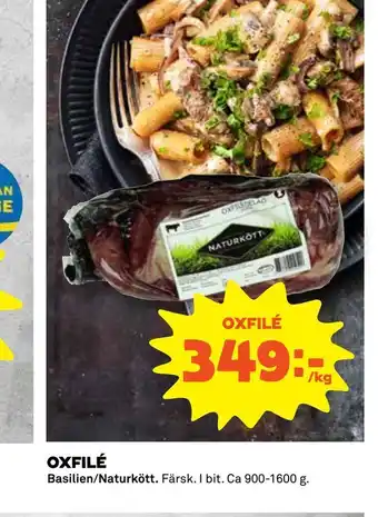 Oxfilé
