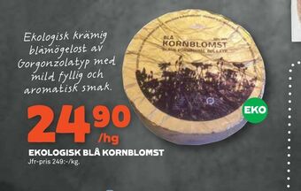 Stora Coop Ekologisk blå kornblomst erbjuda