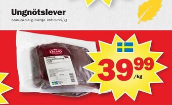 Pekås Ungnötslever erbjuda