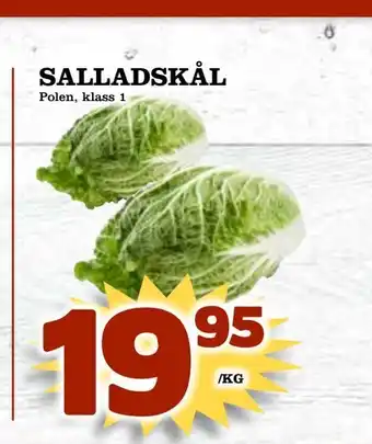 Salladskål