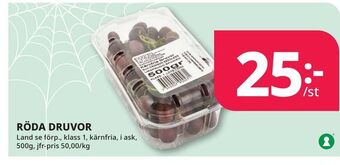 Tempo Röda druvor erbjuda