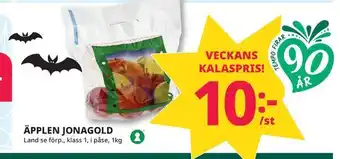 Tempo Äpplen jonagold erbjuda