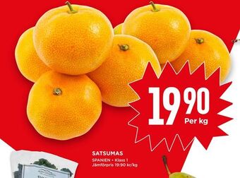 Satsumas