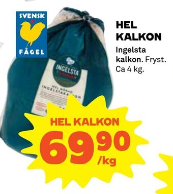 Hel kalkon