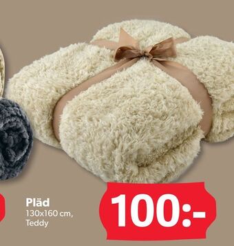 DollarStore Pläd erbjuda