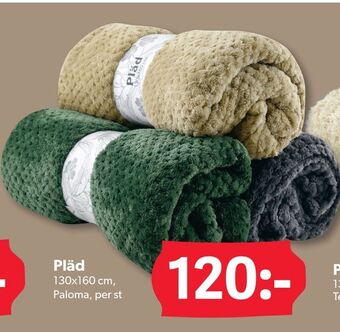DollarStore Pläd erbjuda
