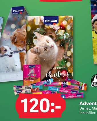 DollarStore Adventskalender erbjuda