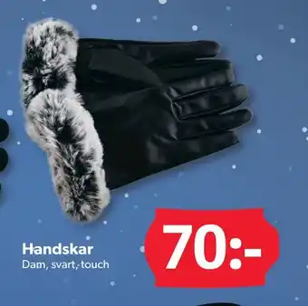 DollarStore Handskar erbjuda