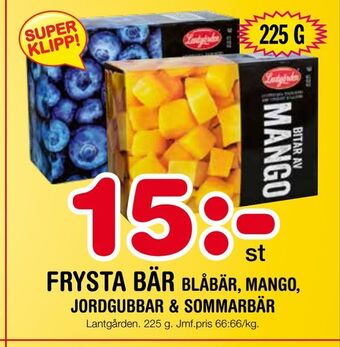 Nya Pulsen Frysta bär blåbär, mango erbjuda