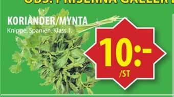 Matvärlden Tensta Koriander/mynta erbjuda