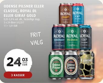 Scandinavian Park Odense pilsner eller classic, royal øl eller giraf gold erbjuda