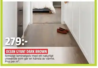 Bauhaus Ocean gyant dark brown erbjuda