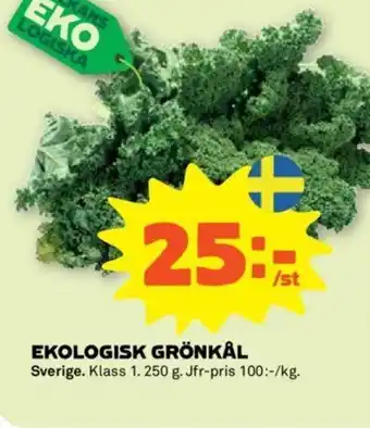 Ekologisk Grönkål