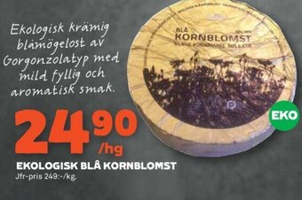 Stora Coop Ekologisk Blå Kornblomst erbjuda