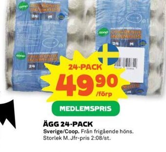 Stora Coop Ägg 24-pack erbjuda