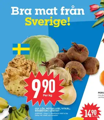 Willys Dole lök erbjuda