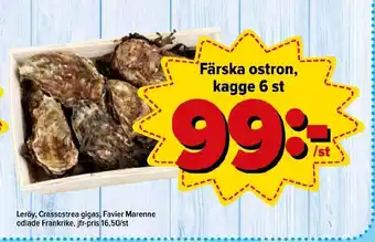 Östenssons Färska ostron kagge 6 st erbjuda