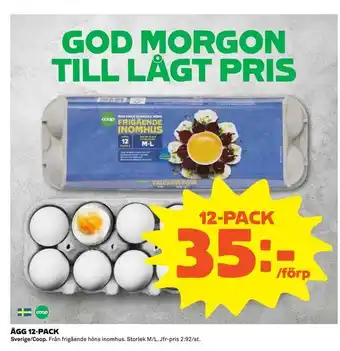 Coop Extra Ägg 12-pack erbjuda