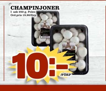 Din Mat Champinjoner erbjuda