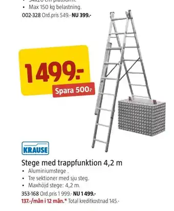 Stege med trappfunktion 4,2 m