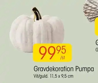 EKO Gravdekoration pumpa erbjuda