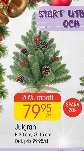 EKO Julgran erbjuda
