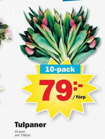 Pekås Tulpaner erbjuda