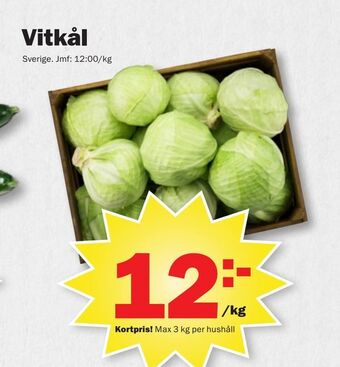 Pekås Vitkål erbjuda