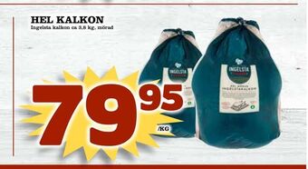 Supergrossen Hel kalkon erbjuda