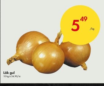 Snabbgross Lök Gul erbjuda
