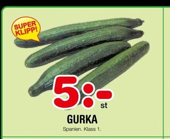 Nya Pulsen Gurka erbjuda