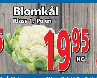 Supergrossen Blomkål erbjuda