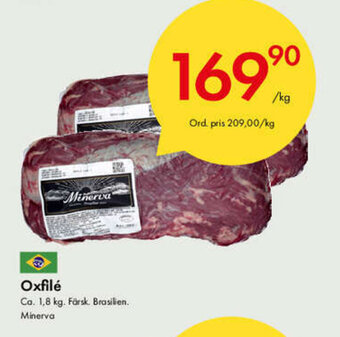 Oxfilé 1,8kg
