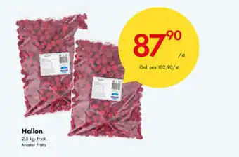 Hallon 2,5kg