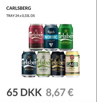 Nielsen Discount Carlsberg erbjuda
