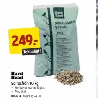 Jula Hard Head Solrosfrön 10 kg erbjuda
