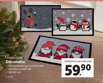 Lidl Dörrmatta erbjuda