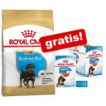 Royal canin breed puppy + 10 x 140 g våtfoder på köpet!