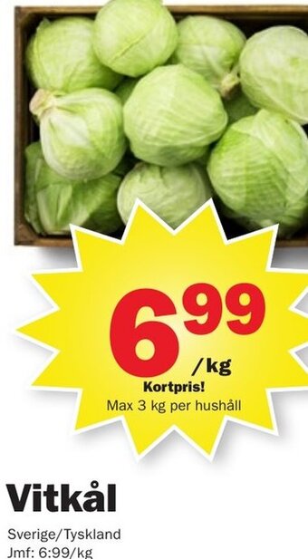 Pekås Vitkål erbjuda