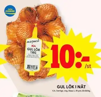 ICA Maxi Gul Lök i Nät erbjuda
