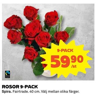 Rosor 9-pack