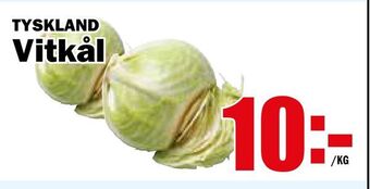Matdax Vitkål erbjuda