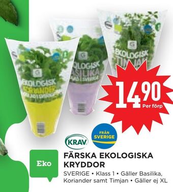 Färska ekologiska kryddor