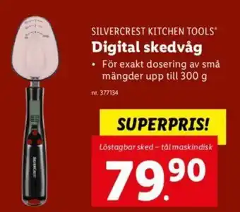 Digital Skedvåg