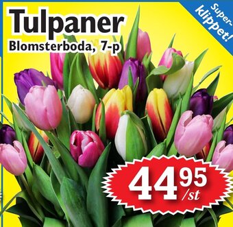 T-jarlen Tulpaner erbjuda